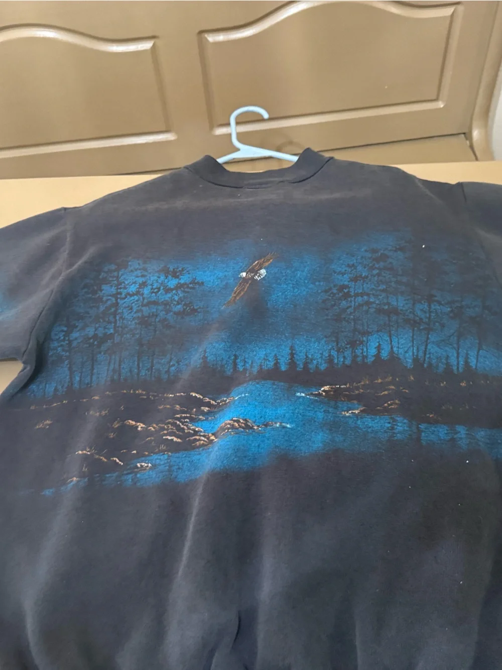 Kids' Black Eagle Graphic Sweatshirt